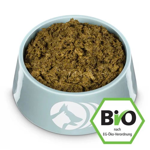 Rumen bio di manzo