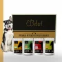 Pacchetto Prova di Cibo Umido per Cani – Image 1 / 1