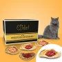 Fix-BARF® Pacchetto Mensile per Gatti Allergici – Image 1 / 1